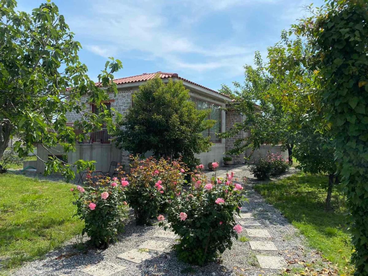 Kampus Luxury Villas Tríkala Exteriér fotografie