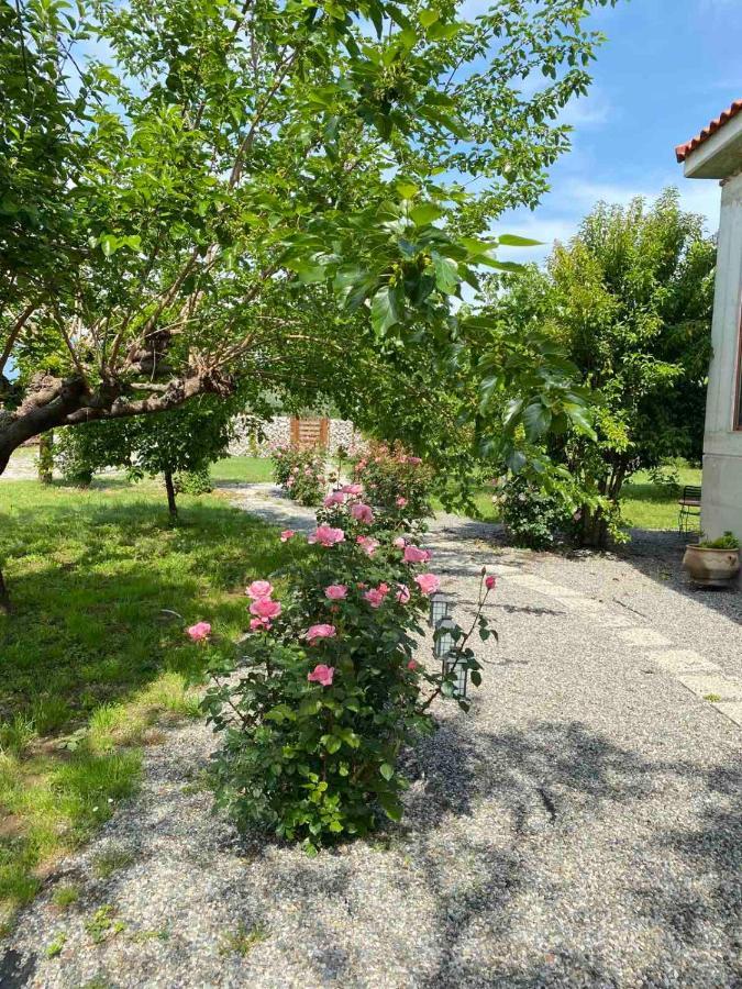 Kampus Luxury Villas Tríkala Exteriér fotografie