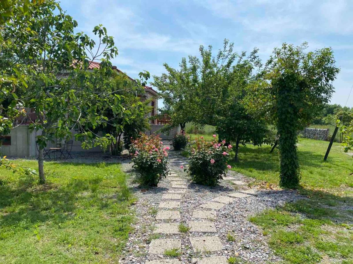 Kampus Luxury Villas Tríkala Exteriér fotografie