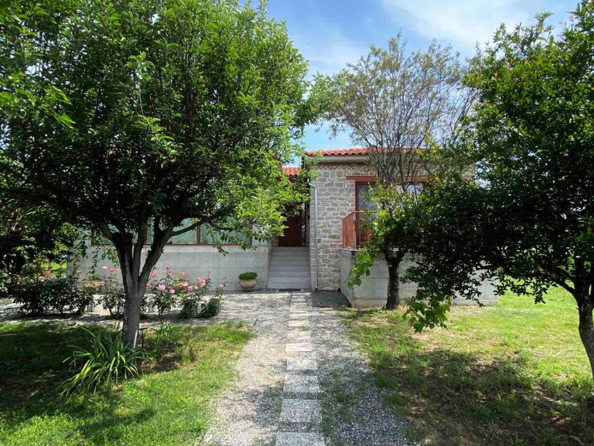 Kampus Luxury Villas Tríkala Exteriér fotografie